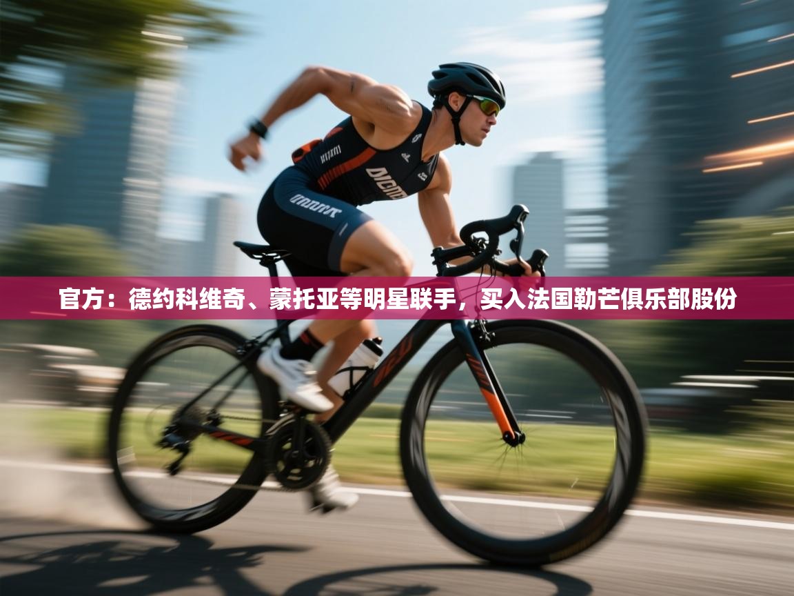 开云体育旧版下载地址-官方:德约科维奇、蒙托亚等明星联手,买入法国勒芒俱乐部股份 第1张