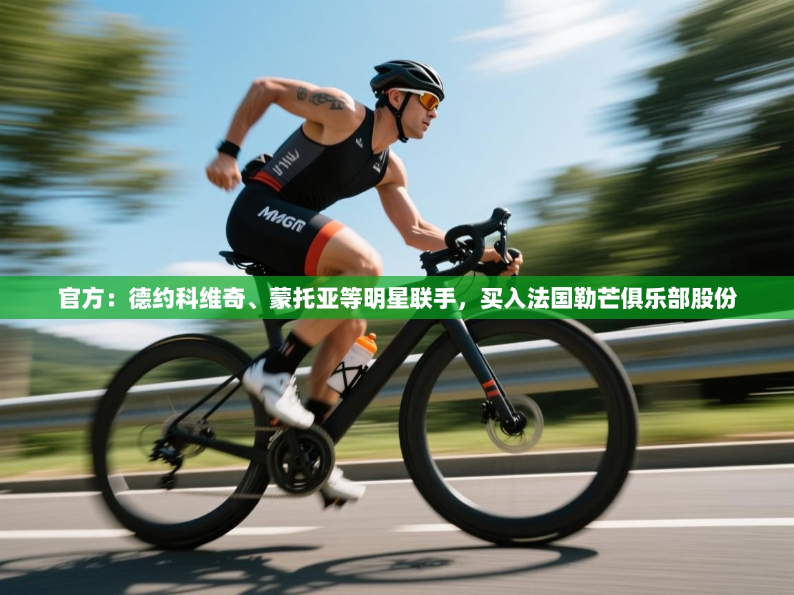 开云体育旧版下载地址-官方:德约科维奇、蒙托亚等明星联手,买入法国勒芒俱乐部股份 第3张