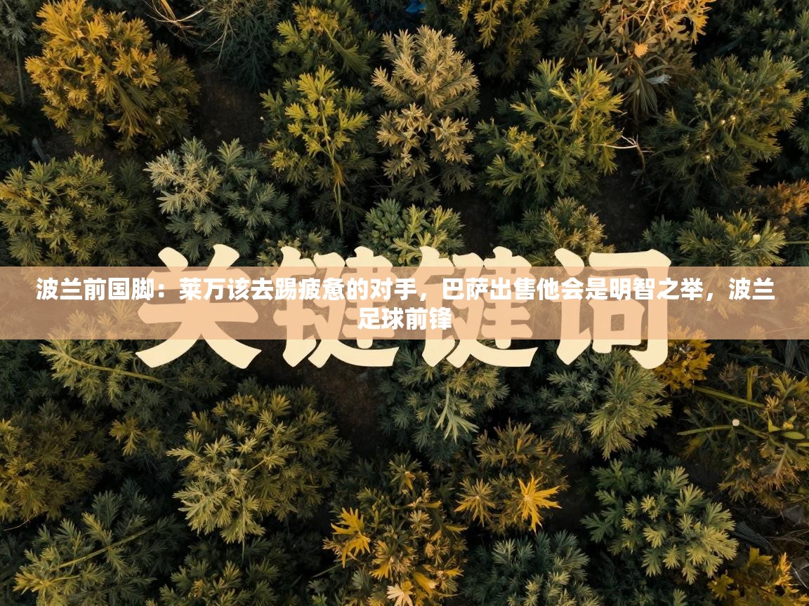 开云体育直播平台-波兰前国脚：莱万该去踢疲惫的对手，巴萨出售他会是明智之举，波兰足球前锋  第1张