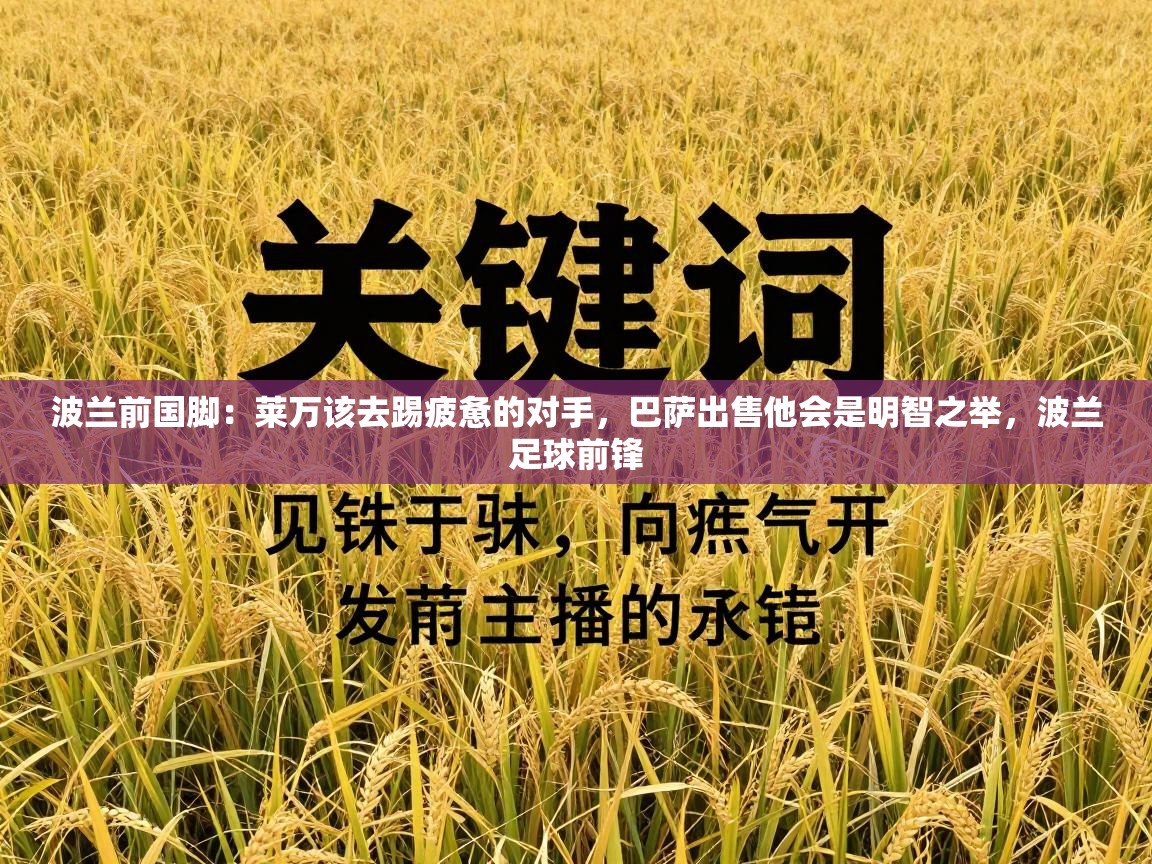 开云体育直播平台-波兰前国脚：莱万该去踢疲惫的对手，巴萨出售他会是明智之举，波兰足球前锋  第4张