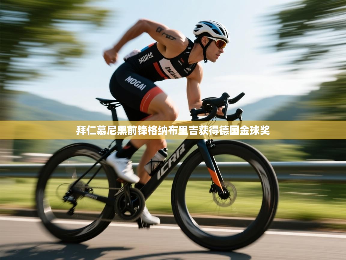 云开体育官网入口登录网页-拜仁慕尼黑前锋格纳布里吉获得德国金球奖 第2张