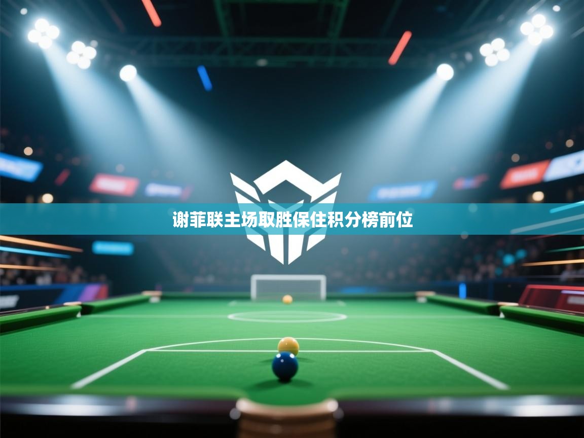 开云体育工单提交入口-谢菲联主场取胜保住积分榜前位  第4张