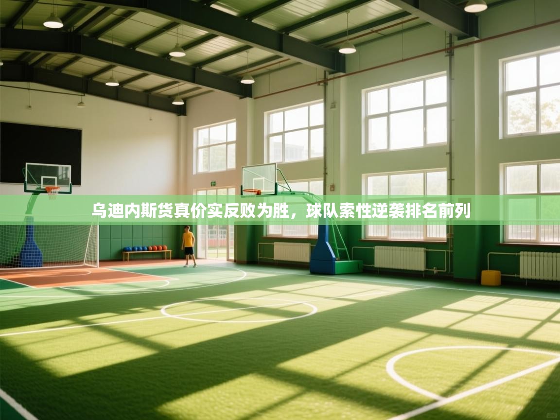 开云体育下载-乌迪内斯货真价实反败为胜,球队索性逆袭排名前列 第4张